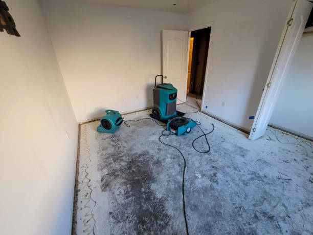 Best Professional water damage repair  in Brookhaven, WV