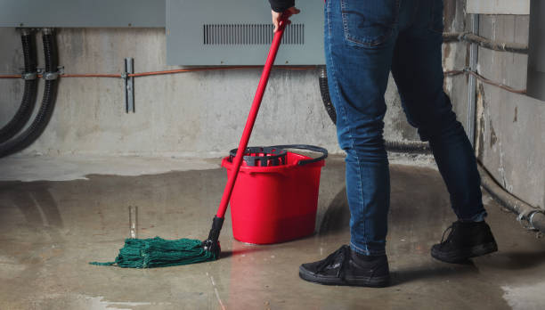 Best Mold removal after water damage  in Brookhaven, WV