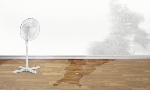 Best Sewage cleanup and water damage restoration  in Brookhaven, WV